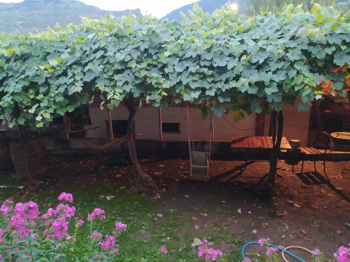 Guest House Nene Местия Екстериор снимка